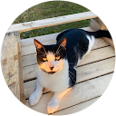 Kane profile picture